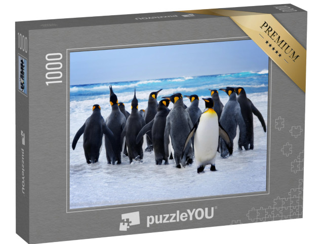 puzzle 1000 dílků „Tučňáci královští na cestě k vodě na Falklandských ostrovech“