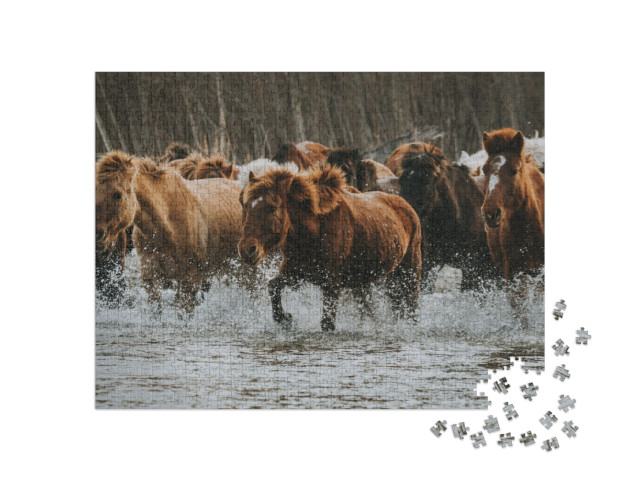 puzzle 1000 dílků „Velká skupina hnědých a bílých koní v lesní oblasti v Mongolsku“