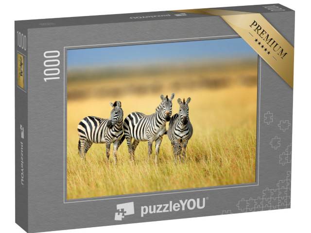 puzzle 1000 dílků „Tři zebry v keňském národním parku“