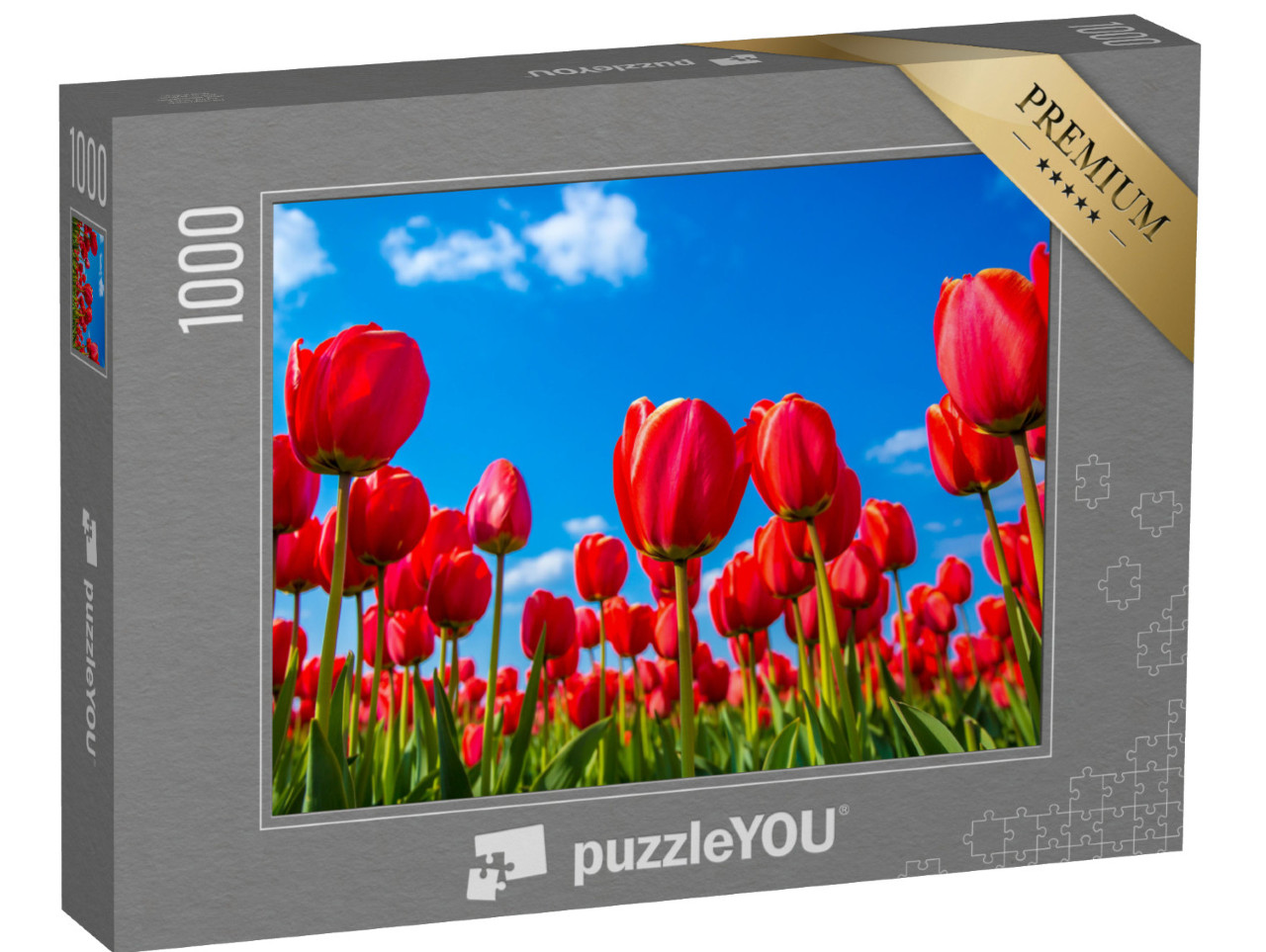 puzzle 1000 dílků „Červené tulipány zespodu“