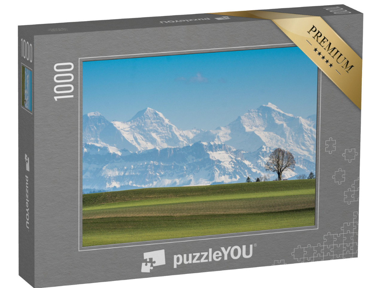 puzzle 1000 dílků „Strom před Eigerem, Mönchem a Jungfrau za krásného jarního dne“