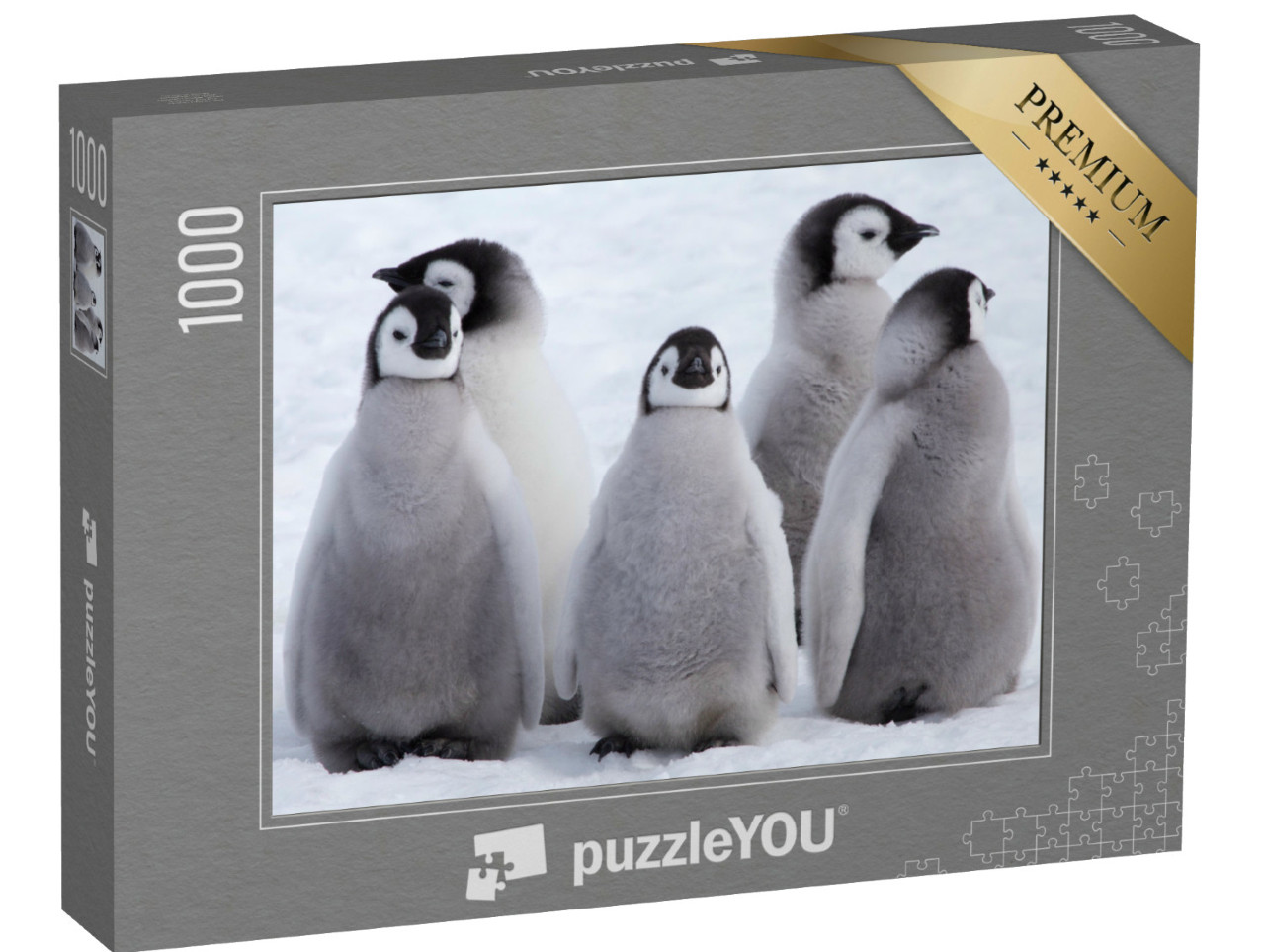 puzzle 1000 dílků „Mláďata tučňáka císařského v Antarktidě“