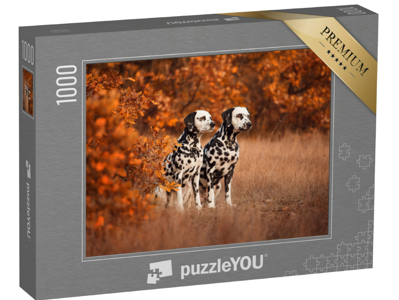 puzzle 1000 dílků „Dva dalmatini na procházce“