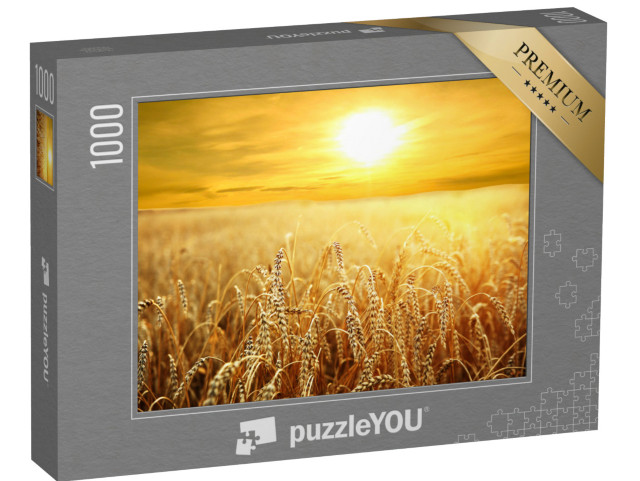 puzzle 1000 dílků „Západ slunce nad zlatým pšeničným polem“