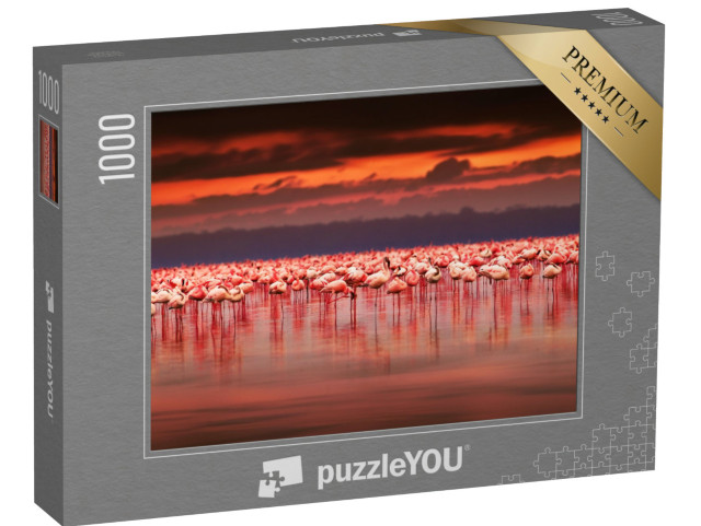 puzzle 1000 dílků „Úchvatný západ slunce nad skupinou plameňáků, Keňa“