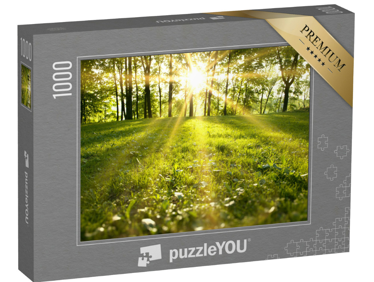 puzzle 1000 dílků „Sluneční světlo v zeleném lese“
