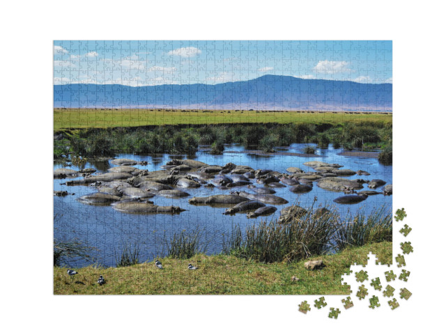 puzzle 1000 dílků XXL „Hroší kotlina, kráter Ngorongoro, Tanzanie“