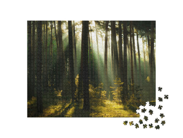 puzzle 1000 dílků „Sluneční paprsky v lese, pohoří Harz, Německo“