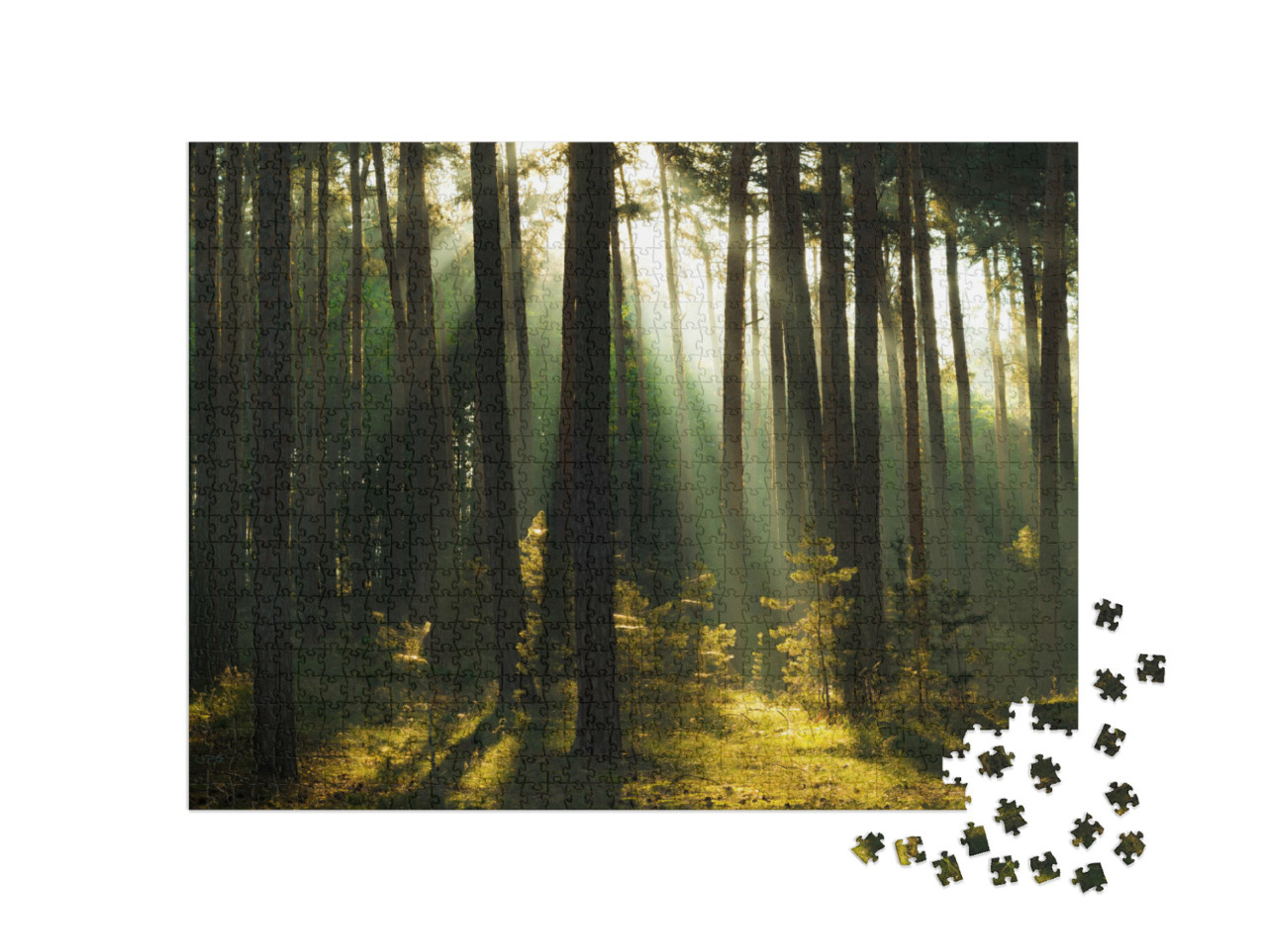 puzzle 1000 dílků „Sluneční paprsky v lese, pohoří Harz, Německo“