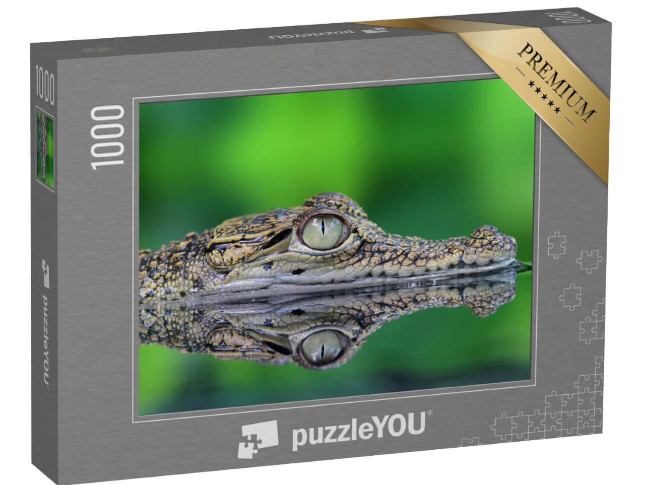 puzzle 1000 dílků „Krokodýl s odrazem“