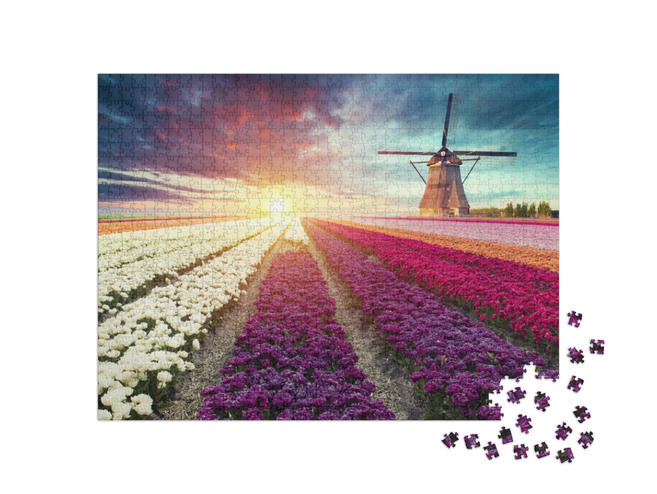 puzzle 1000 dílků „Krajina s větrným mlýnem a tulipány, Holandsko“