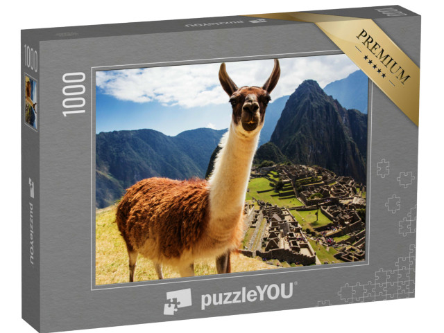 puzzle 1000 dílků „Lama, v pozadí incké ruiny na Machu Picchu, Peru“