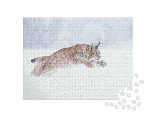 puzzle 1000 dílků „Mládě rysa ostrovida na sněhu“