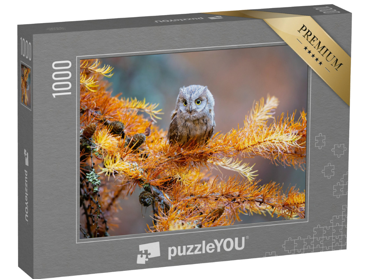 puzzle 1000 dílků „Sova pálená, Otus scops, typická sova“