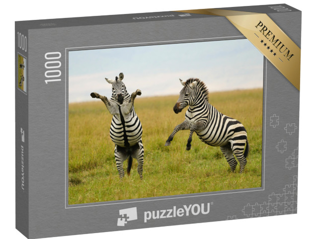 puzzle 1000 dílků „Hra nebo boj? Zebra Burchellova nebo zebra plání“