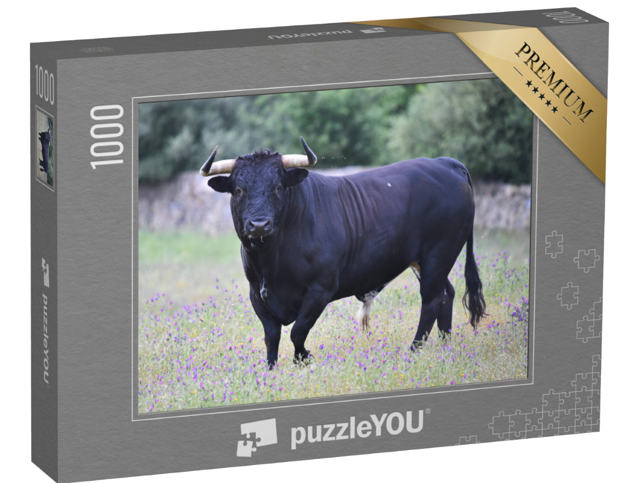 puzzle 1000 dílků „Černý býk ve Španělsku na zelené louce“