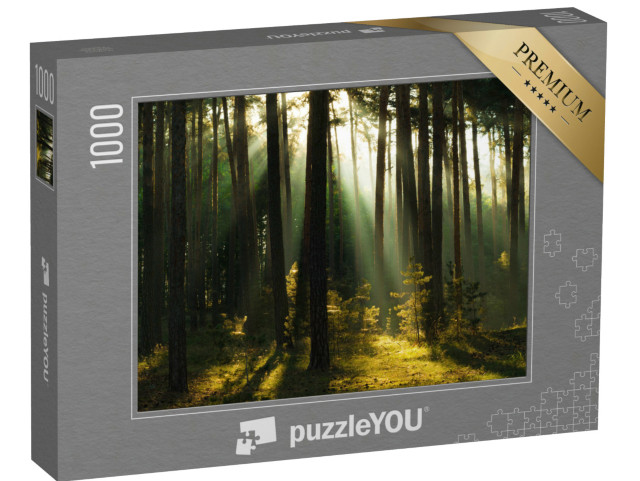 puzzle 1000 dílků „Sluneční paprsky v lese, pohoří Harz, Německo“