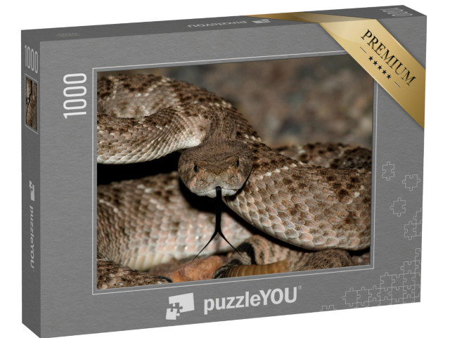 puzzle 1000 dílků „Vzpřímený chřestýš mojavský“