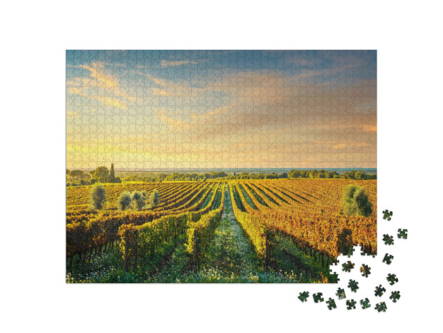 puzzle 1000 dílků „Vinice Bolgheri při západu slunce, Maremma, Toskánsko“