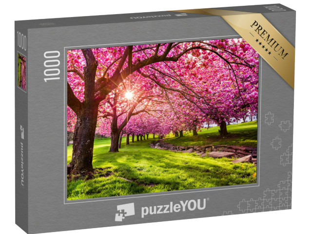 puzzle 1000 dílků „Třešňové květy v Hurd Parku, Dover, New Jersey“