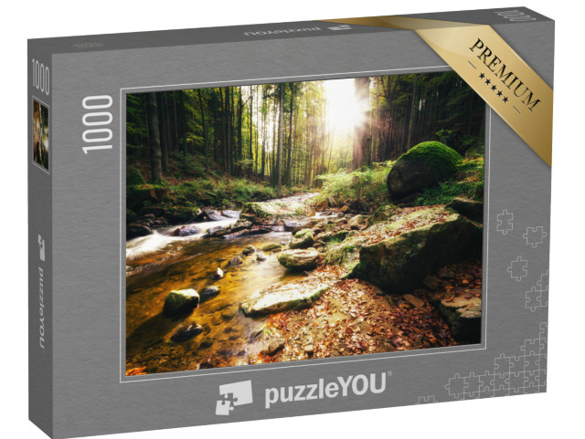 puzzle 1000 dílků „Slunečný den u potoka v údolí Ilse, pohoří Harz“