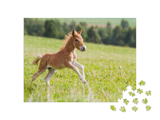puzzle 500 dílků „Falabella mini kůň“