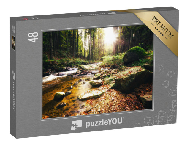 puzzle 48 dílků „Slunečný den u potoka v údolí Ilse, pohoří Harz“