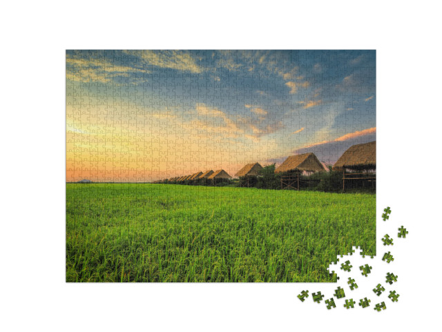 puzzle 1000 dílků „Západ slunce na rýžovém poli v Siem Reapu“