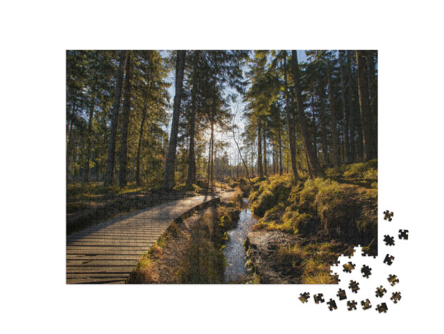 puzzle 1000 dílků „Podzimní les na Brocken v pohoří Harz“