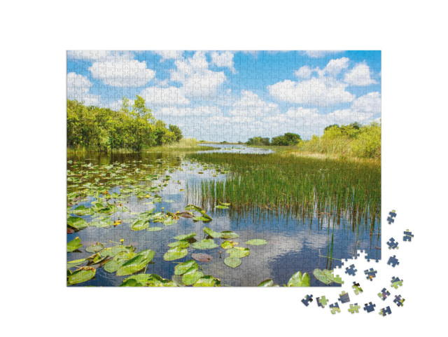 puzzle 1000 dílků „Národní park Everglades na Floridě, USA“