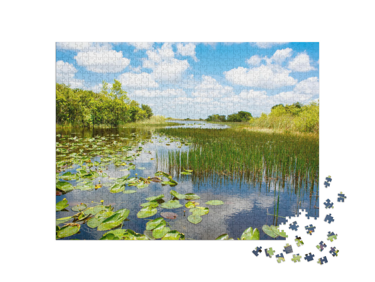 puzzle 1000 dílků „Národní park Everglades na Floridě, USA“