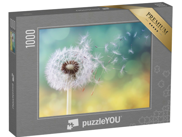 puzzle 1000 dílků „Semena pampelišek na slunci, která se rozfoukávají po volné...“