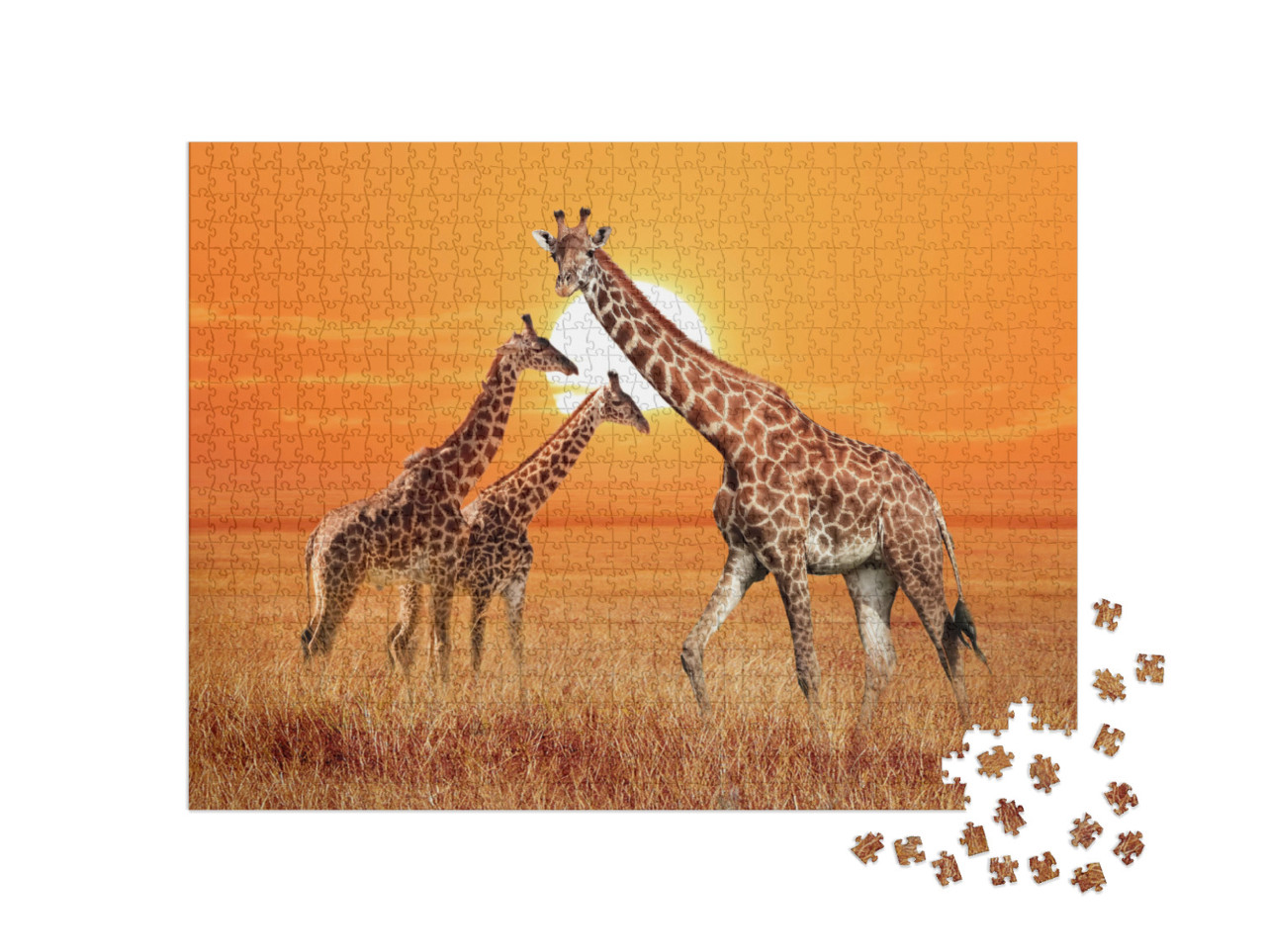 puzzle 1000 dílků „Žirafa se dvěma mláďaty, Národní park Serengeti, Tanzanie“