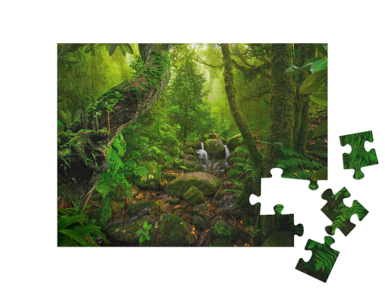 puzzle 48 dílků „Asijský tropický deštný prales“