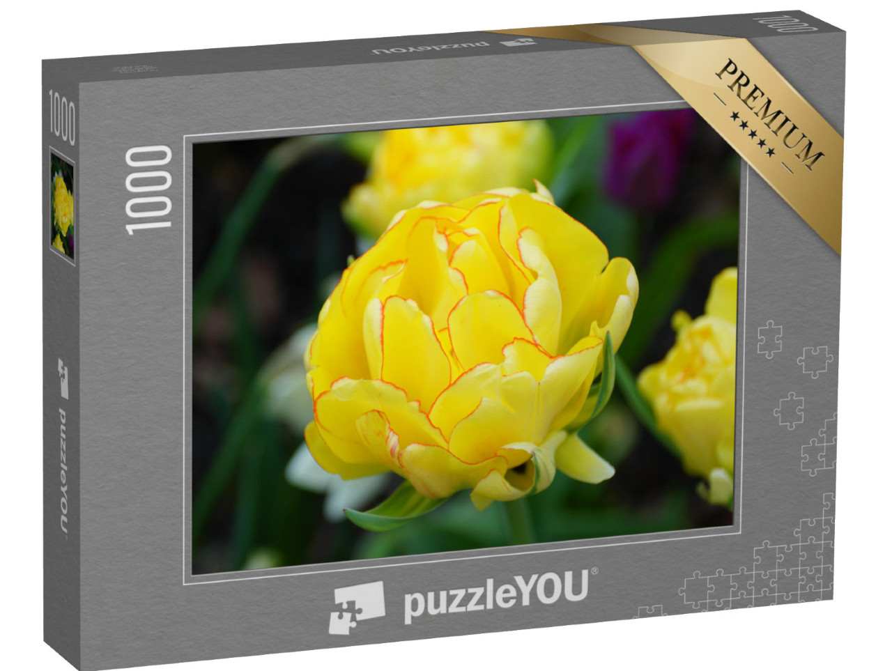 puzzle 1000 dílků „Detail žlutého tulipánu“