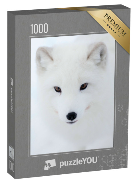 puzzle 1000 dílků „Pohled polární lišky“