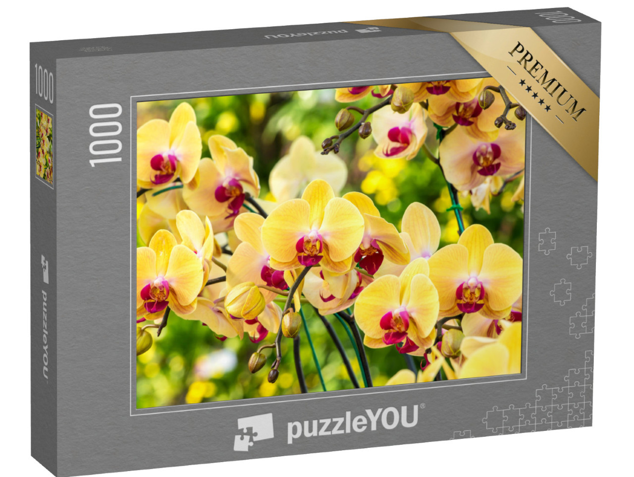 puzzle 1000 dílků „Krásná žlutá orchidej“