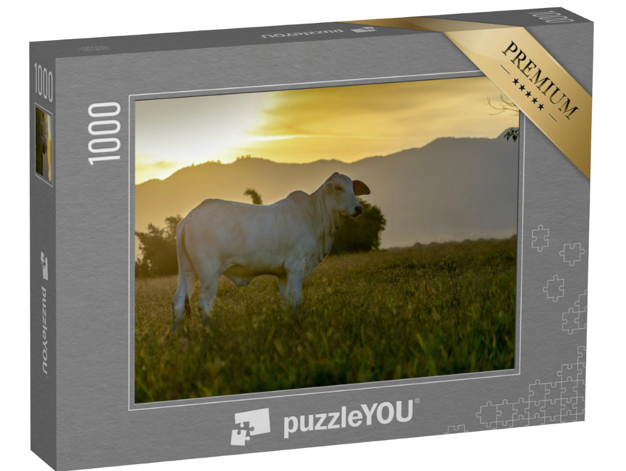 puzzle 1000 dílků „Skot Nelore na pastvině při západu slunce“