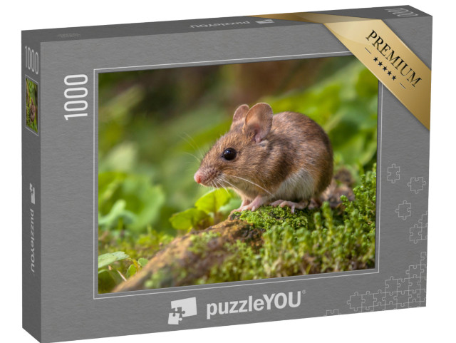 puzzle 1000 dílků „Roztomilá malá lesní myška“