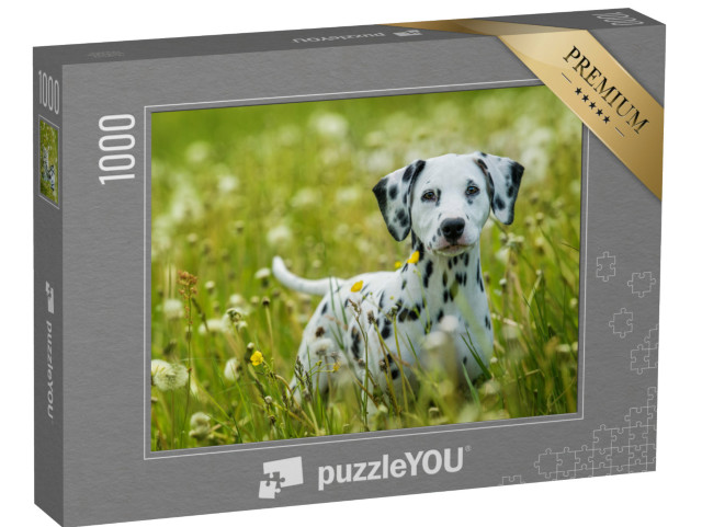 puzzle 1000 dílků „Štěně dalmatina na pampeliškové louce“