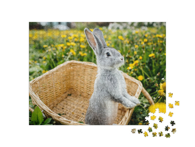 puzzle 1000 dílků „Šedý králík v košíku na pampeliškové louce“