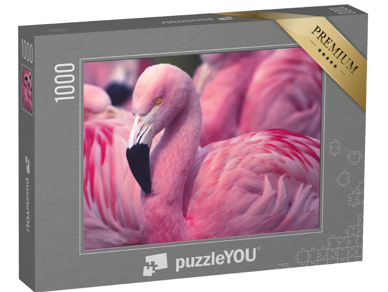 puzzle 1000 dílků „Plameňák z Chile“