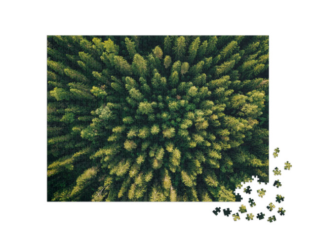 puzzle 1000 dílků „Pohled na jehličnatý les z ptačí perspektivy“