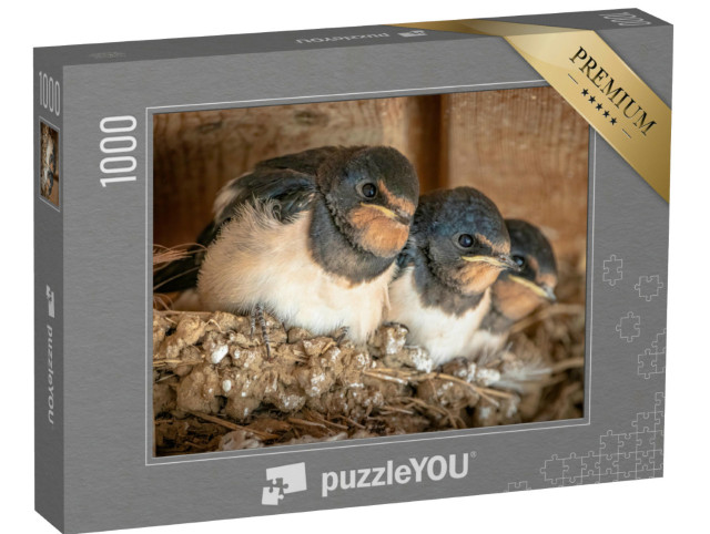 puzzle 1000 dílků „Roztomilá vlaštovčí mláďata v hnízdě“