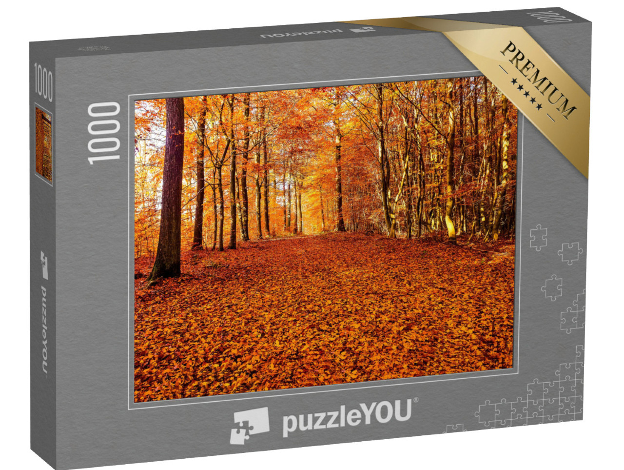 puzzle 1000 dílků „Cesta podzimního listí v lese“