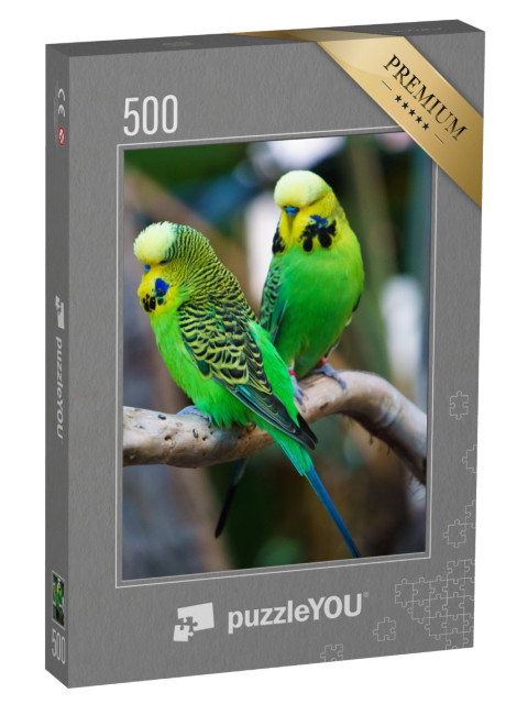 puzzle 500 dílků „Dva andulky sedící na větvi“