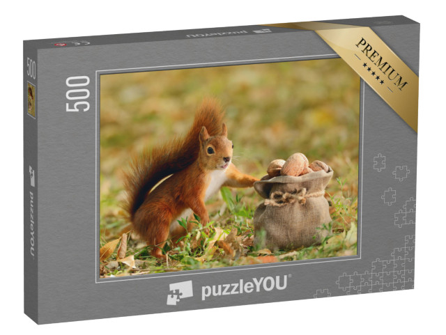 puzzle 500 dílků „Portrét veverky červené, která drží pytel ořechů“