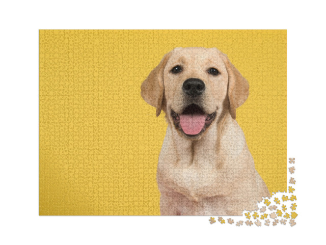 puzzle 2000 dílků „Portrét zlatého labradorského retrívra“