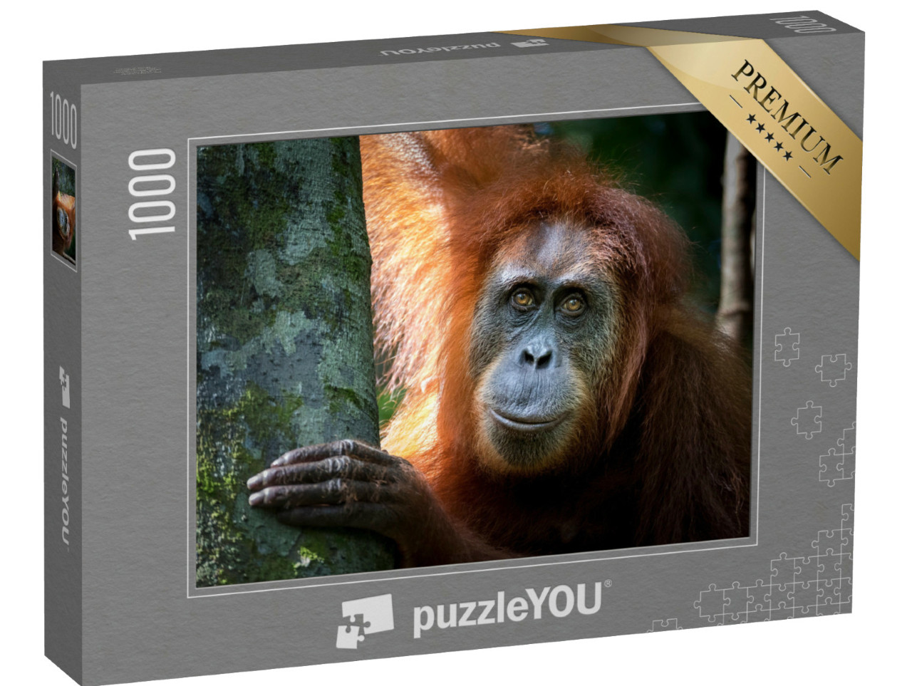 puzzle 1000 dílků „Portrét slavného a ohroženého orangutana sumaterského“
