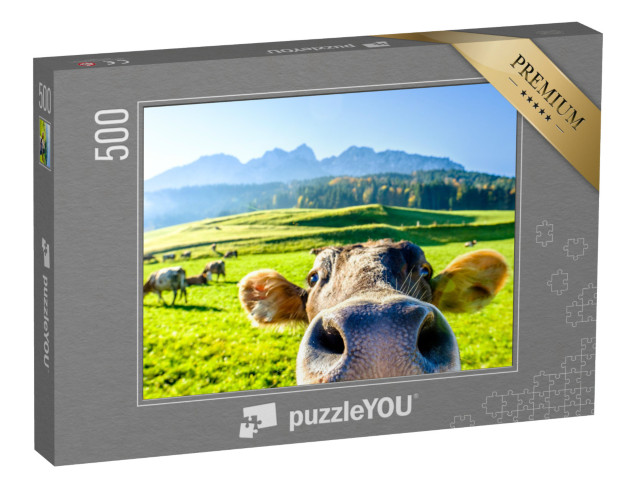 puzzle 500 dílků „Zvědavá kráva“